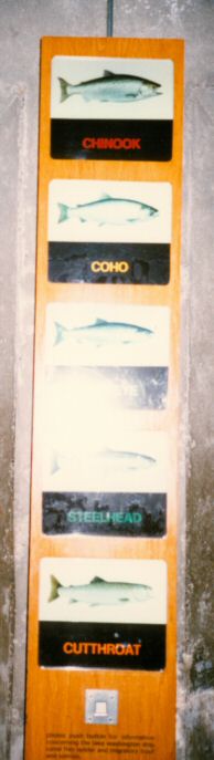 2021-04-16-11-14-0029.jpg