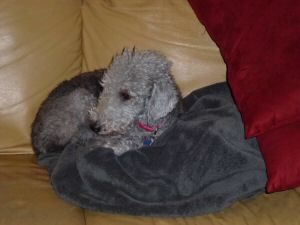 P1000200.JPG