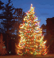 img13.gif