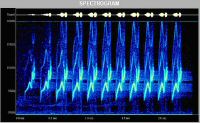 spectrogram.JPG