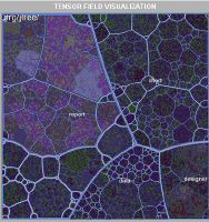 tensor.field.visdualization.jpg